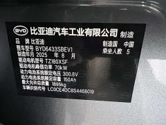BYD UP Smart Drive Edition 401KM Edition - фото 20