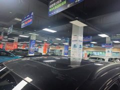 Audi Q5L 45 Edition 40 TFSI Luxury Version - фото 3