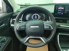 Haval H6 2021 National Fashion Edition 1.5T Automatic Champion Edition - фото 15