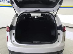 Haval H6 2022 3rd Gen 1.5T Automatic 2WD Max - фото 4
