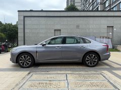 Hongqi H5 PHEV 170 Edition - фото 15