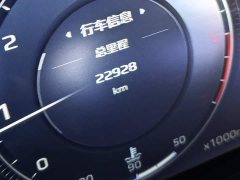 Hongqi HS5 2.0T 2WDPro Edition - фото 2