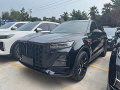 Hongqi HS5 2.0T 2WD Edition - фото 1