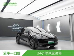 Tesla Model Y Long Range Edition 3D7 - фото 1