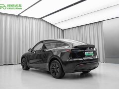 Tesla Model Y Long Range Edition 3D7 - фото 11