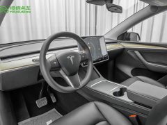 Tesla Model Y Long Range Edition 3D7 - фото 12