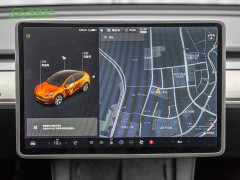 Tesla Model Y Long Range Edition 3D7 - фото 14
