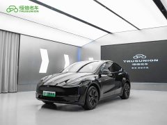 Tesla Model Y Long Range Edition 3D7 - фото 2