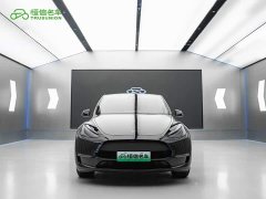 Tesla Model Y Long Range Edition 3D7 - фото 3