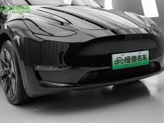 Tesla Model Y Long Range Edition 3D7 - фото 6