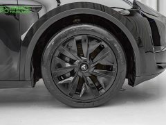 Tesla Model Y Long Range Edition 3D7 - фото 7