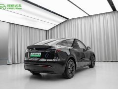 Tesla Model Y Long Range Edition 3D7 - фото 9