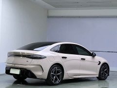BYD 700km Long Range Edition - фото 6