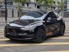 Tesla Model Y 2021 standard range rear-wheel drive version - фото 1