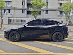 Tesla Model Y 2021 standard range rear-wheel drive version - фото 2