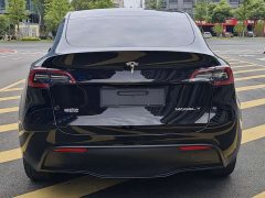 Tesla Model Y 2021 standard range rear-wheel drive version - фото 4