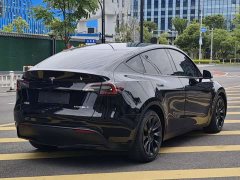 Tesla Model Y 2021 standard range rear-wheel drive version - фото 5