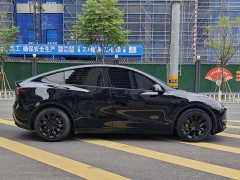 Tesla Model Y 2021 standard range rear-wheel drive version - фото 6