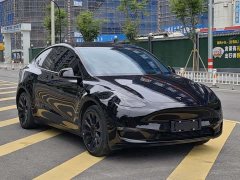 Tesla Model Y 2021 standard range rear-wheel drive version - фото 7