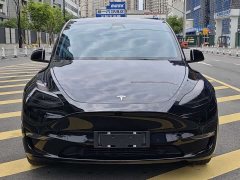 Tesla Model Y 2021 standard range rear-wheel drive version - фото 8