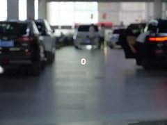 Volvo XC90PHEV T8 Luxury Edition 7 - фото 19