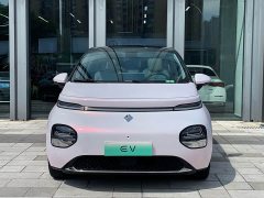 Baojun 460 Max - фото 12