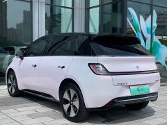 Baojun 460 Max - фото 17
