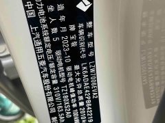 Baojun 460 Max - фото 8