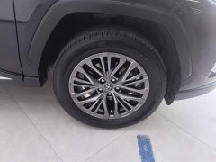 Lynk & Co Wilanda Dual Engine 2.5L E-CVT Four-wheel Drive Premium Edition - фото 6