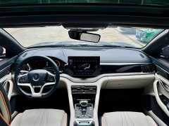 BYD PLUS EV Premium Version - фото 11