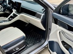 BYD PLUS EV Premium Version - фото 12