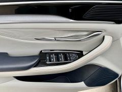 BYD PLUS EV Premium Version - фото 13