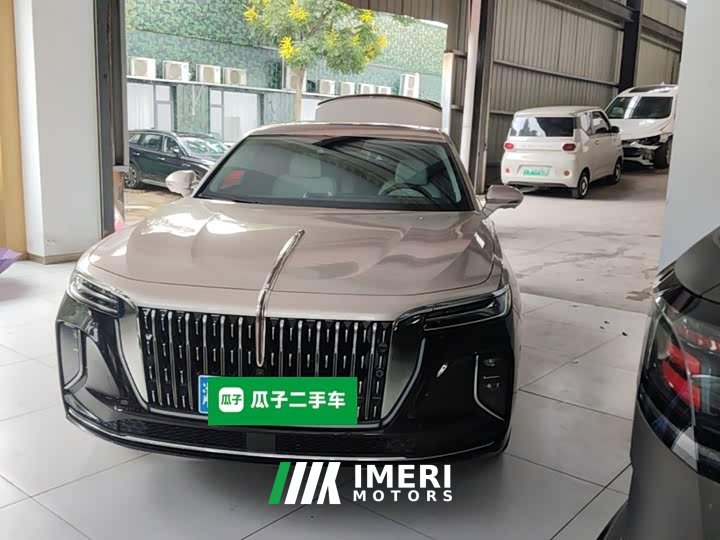 Hongqi H9 2.0T 2WDLuxuryBusiness Edition 5 - автомобиль из Китая