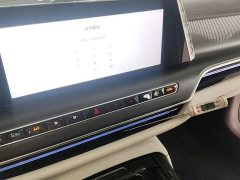 Hongqi H9 2.0T 2WDLuxuryBusiness Edition 5 - фото 13