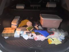 Changan CS75PLUS Edition 1.5T Smart Drive Version - фото 4