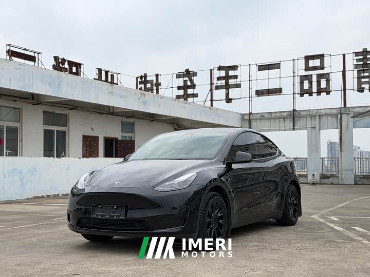 Tesla Model Y rear-wheel drive version - автомобиль из Китая