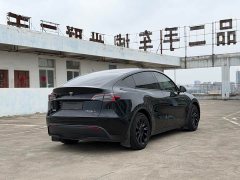 Tesla Model Y rear-wheel drive version - фото 10