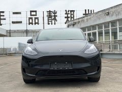 Tesla Model Y rear-wheel drive version - фото 2