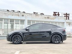 Tesla Model Y rear-wheel drive version - фото 8