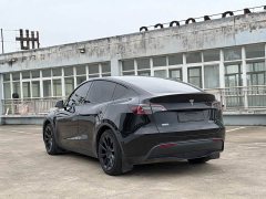 Tesla Model Y rear-wheel drive version - фото 9