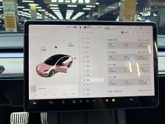 Tesla Model 3 Standard Range Edition - фото 13