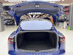 Tesla Model 3 Standard Range Edition - фото 17