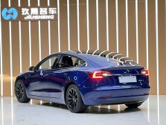 Tesla Model 3 Standard Range Edition - фото 20