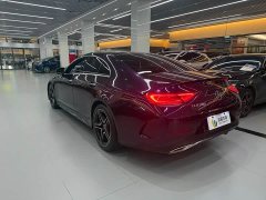 Mercedes-Benz CLS 300 Luxury Version - фото 10