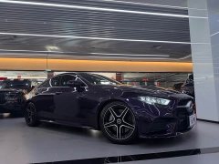 Mercedes-Benz CLS 300 Luxury Version - фото 11