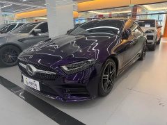 Mercedes-Benz CLS 300 Luxury Version - фото 12