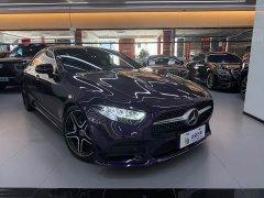 Mercedes-Benz CLS 300 Luxury Version - фото 14