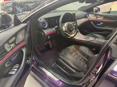 Mercedes-Benz CLS 300 Luxury Version - фото 17