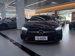 Mercedes-Benz CLS 300 Luxury Version - фото 4