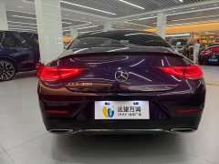 Mercedes-Benz CLS 300 Luxury Version - фото 9